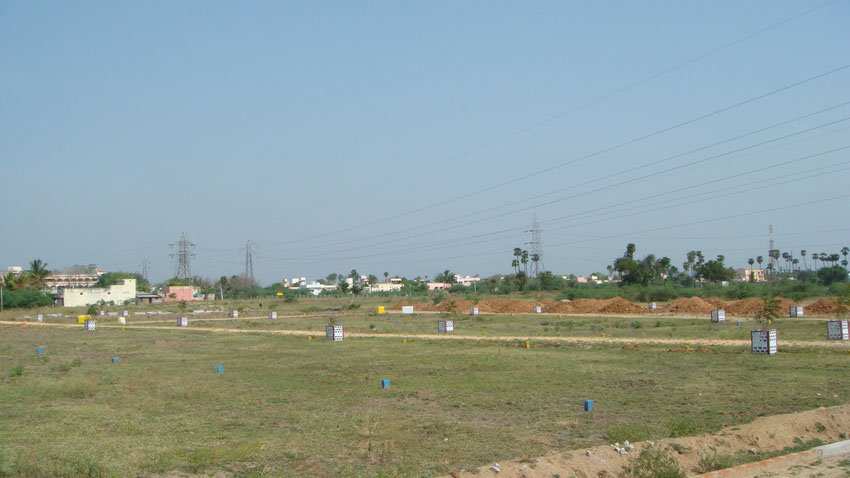 Pemmasani Avenue Arakkonam